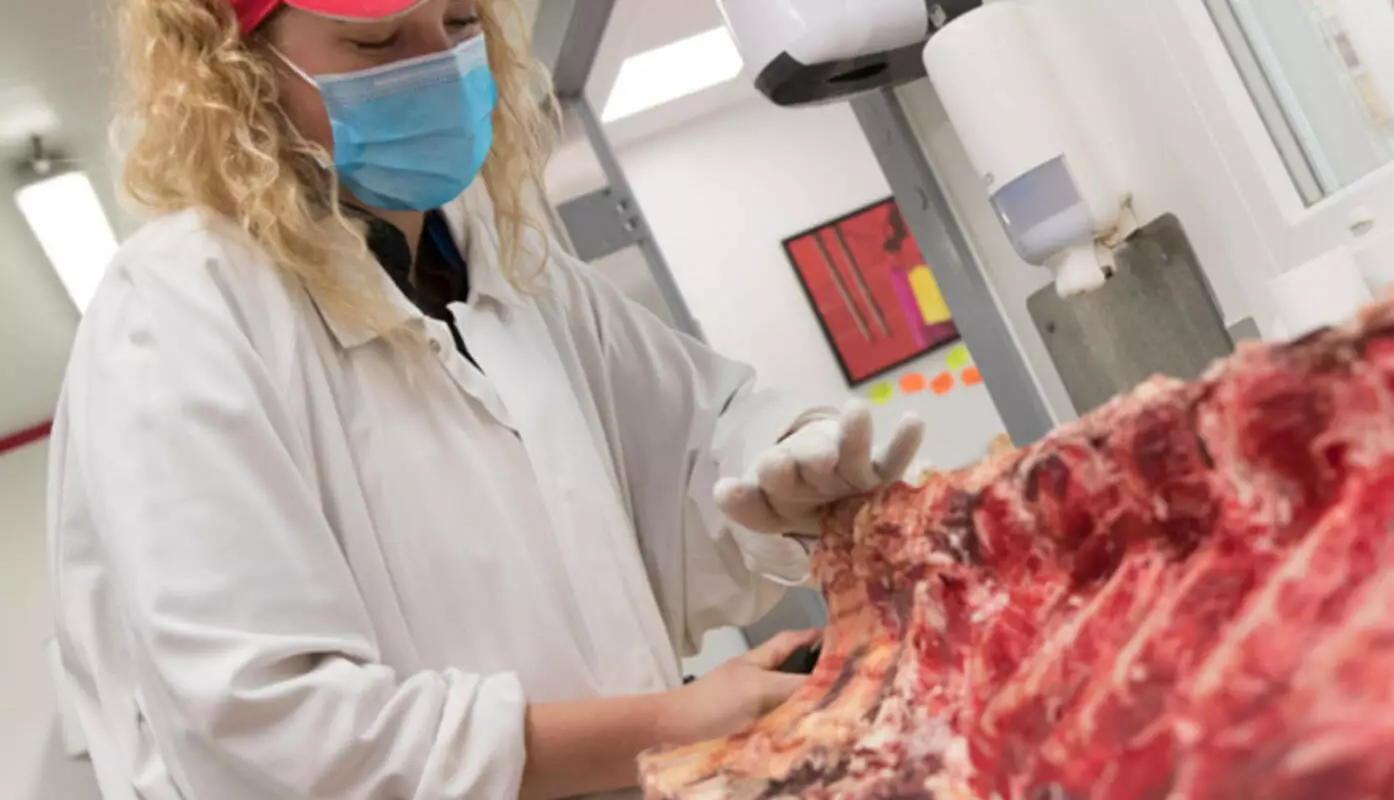 Cyril Landis et son apprentie dans son laboratoire à Dax