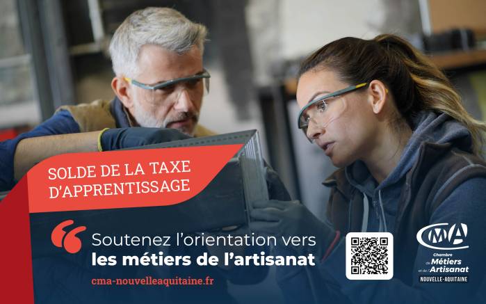 solde taxe 2024