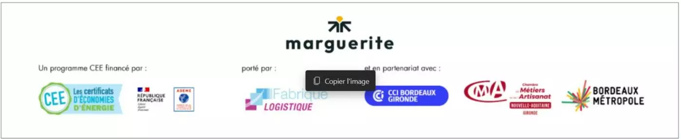 Bandeau Logos.jpg