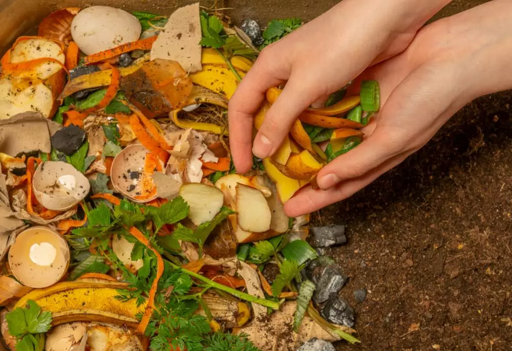 gestion-biodechets