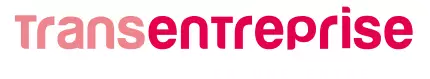 Transentreprise logo